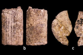 Thumbnail for 7022875