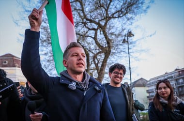 Thumbnail for 7022890