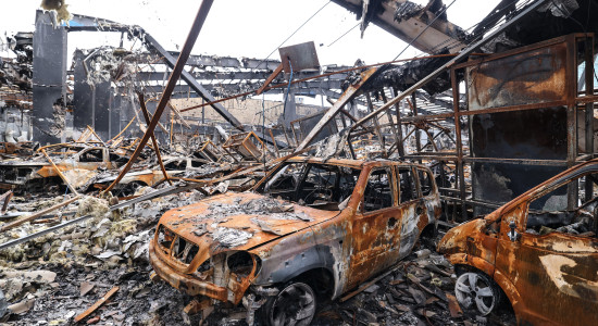 Thumbnail for 7022943