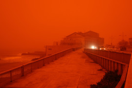 Thumbnail for 7023026