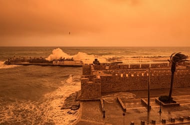 Thumbnail for 7023082