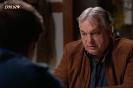 Thumbnail for 7023093