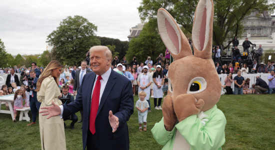 Thumbnail for 7023300