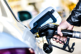 Thumbnail for 7023365