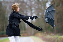 Thumbnail for 7023429