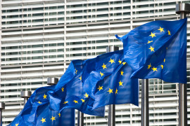 Thumbnail for 7023579