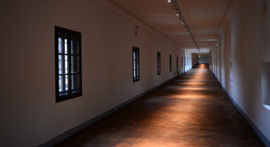 Thumbnail for 7023877