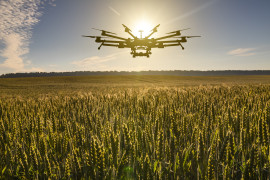 Thumbnail for 7024020