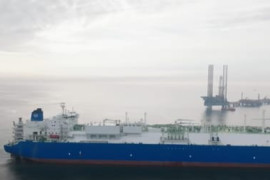 Thumbnail for 7024082