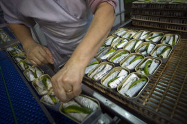 Thumbnail for 7024089