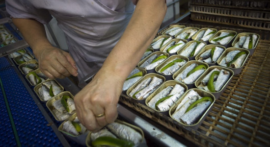 Thumbnail for 7024089