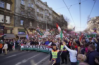 Thumbnail for 7024159