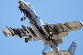 Thumbnail for 7024231