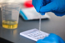 Thumbnail for 7024426