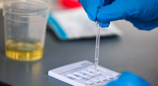 Thumbnail for 7024426