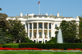 Thumbnail for 7024428