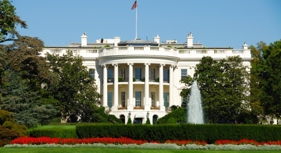 Thumbnail for 7024428