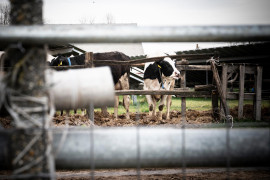 Thumbnail for 7024499