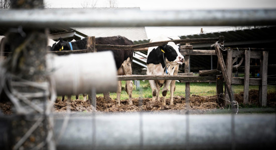 Thumbnail for 7024499