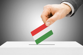 Thumbnail for 7024556