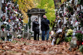 Thumbnail for 7024687