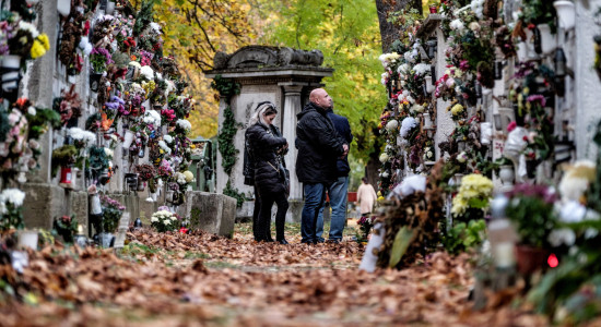 Thumbnail for 7024687