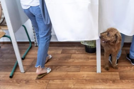 Thumbnail for 7024692