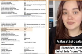 Thumbnail for 7024756