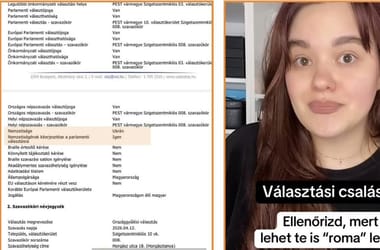 Thumbnail for 7024756