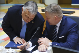 Thumbnail for 7025082