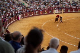 Thumbnail for 7025085