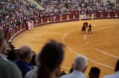 Thumbnail for 7025085