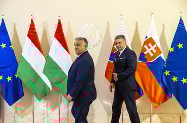 Thumbnail for 7025164