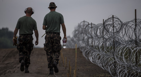 Thumbnail for 7025312