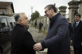 Thumbnail for 7025638