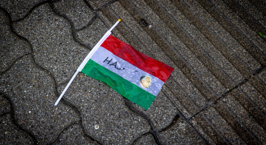 Thumbnail for 7025799