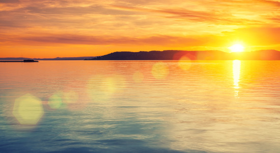 Thumbnail for 7025907