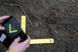 Thumbnail for 7026118