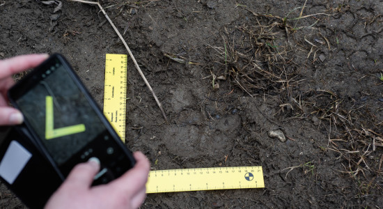 Thumbnail for 7026118