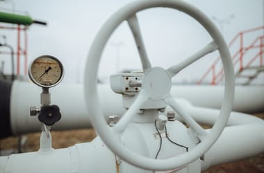 Thumbnail for 7026183