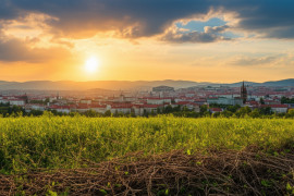 Thumbnail for 7026295