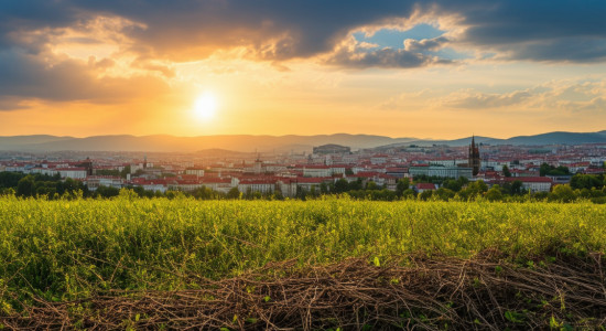 Thumbnail for 7026295