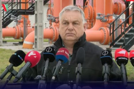 Thumbnail for 7026490