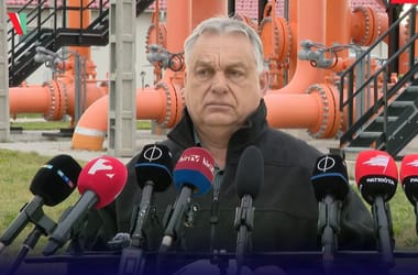 Thumbnail for 7026490