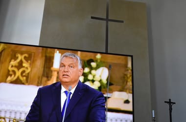 Thumbnail for 7026791