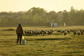 Thumbnail for 7026799