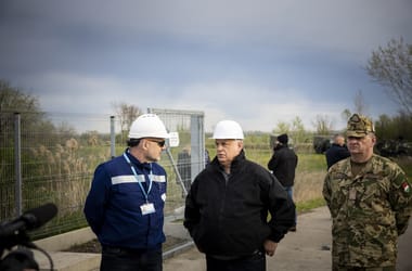 Thumbnail for 7026856