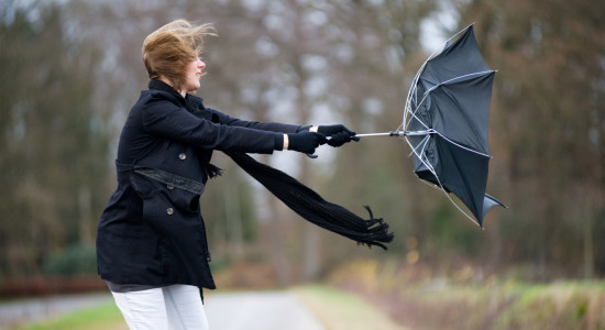 Thumbnail for 7026860