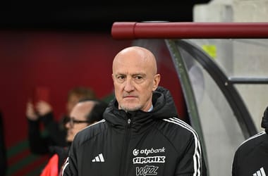 Thumbnail for 7027068