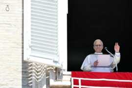 Thumbnail for 7027085